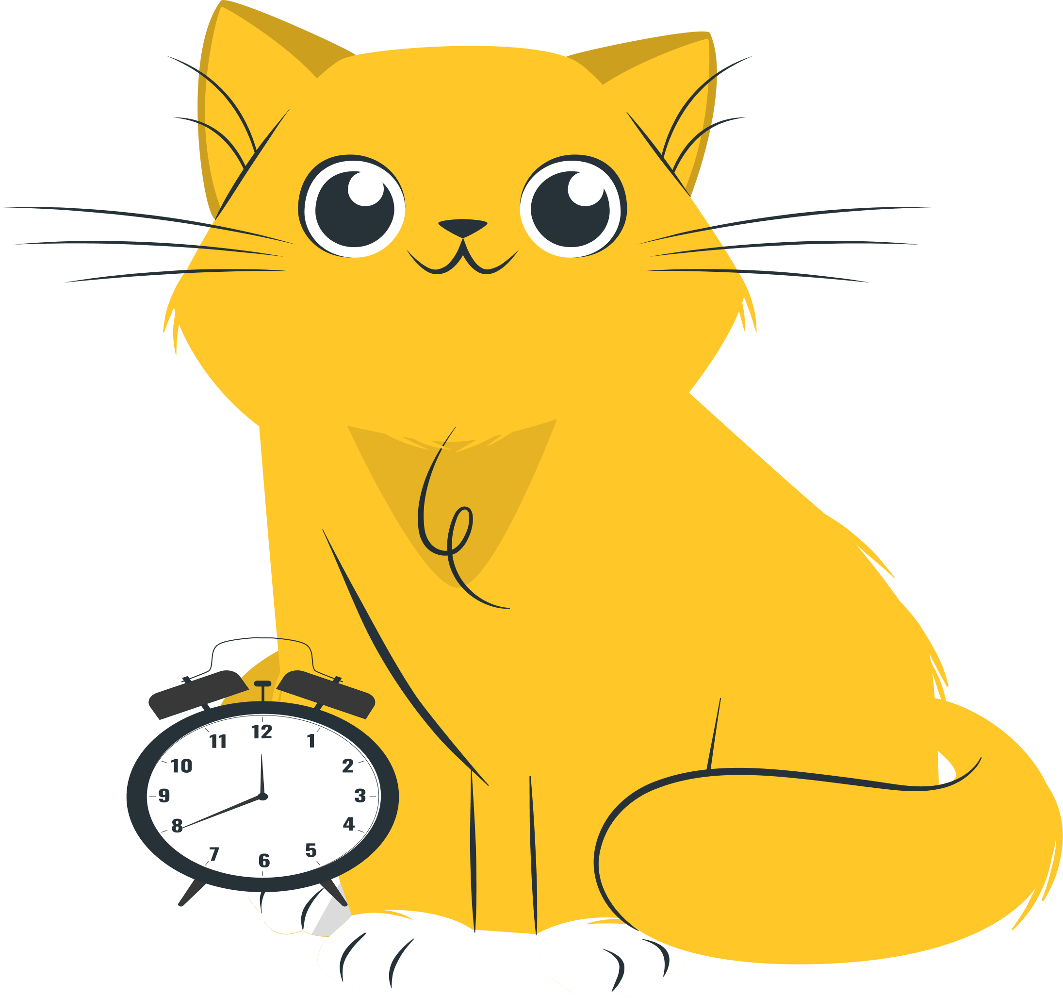 cat image with a clock